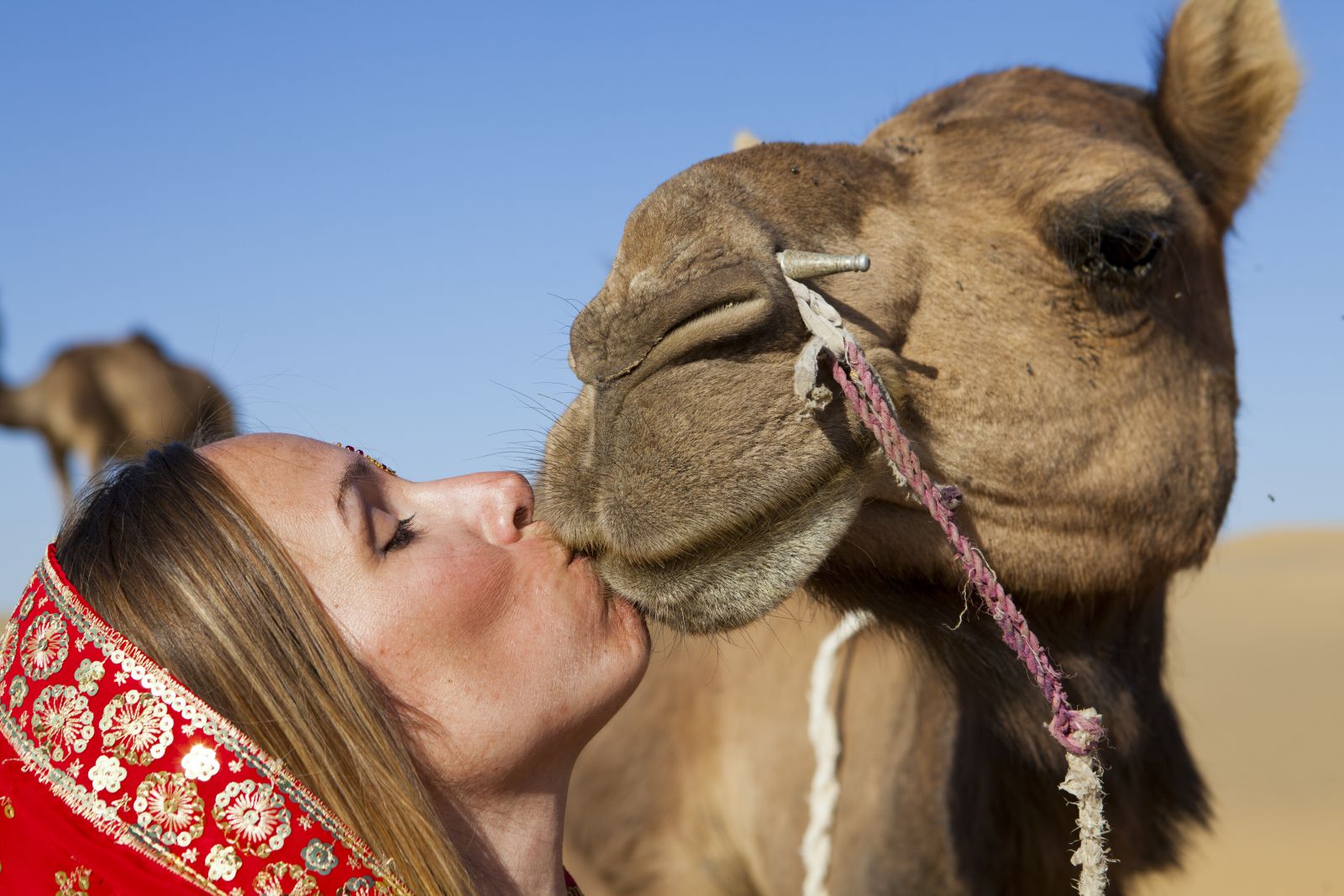 Desert Safari in Jaisalmer
